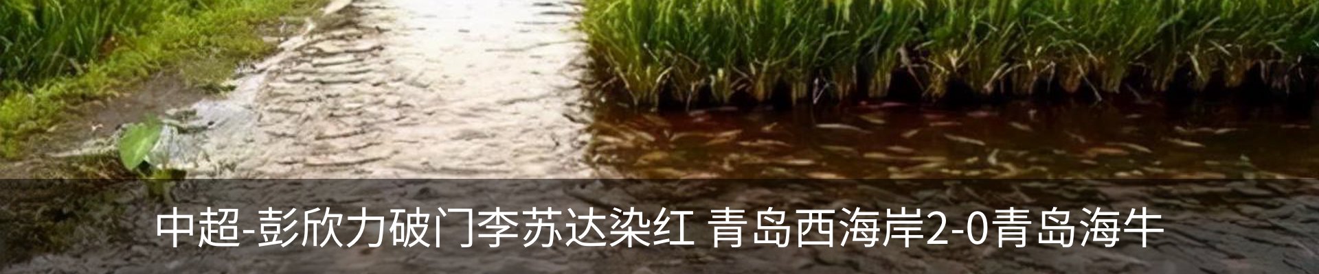 内页banner