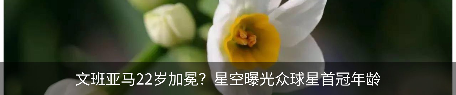 内页banner