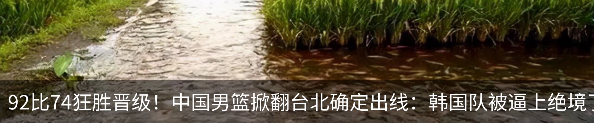 内页banner